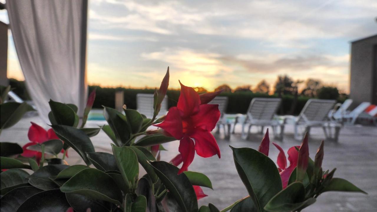 Holiday home Ca Giuliocesare Castiglione di Ravenna