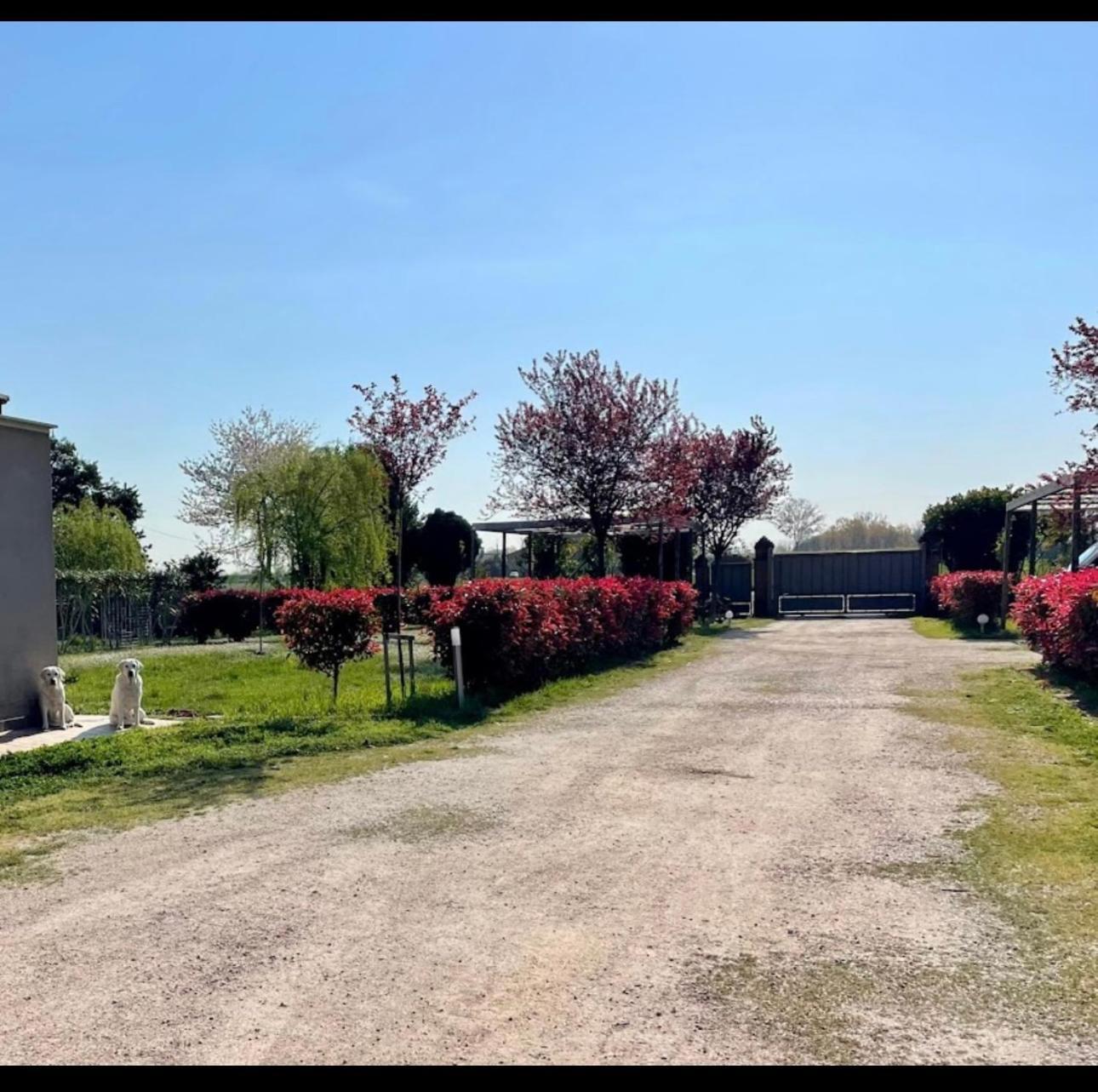 Ca Giuliocesare Holiday home *